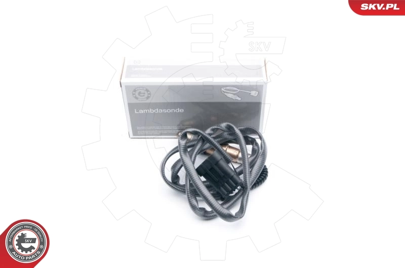 Oxygen Sensor